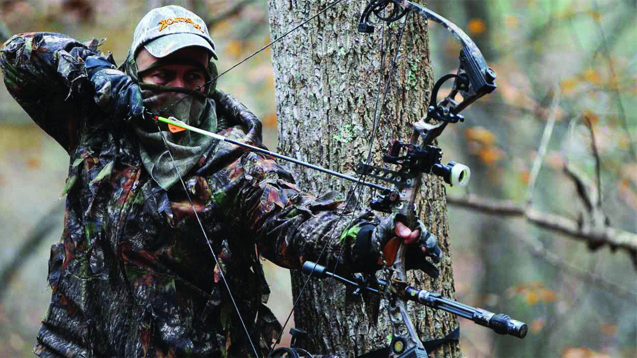 Hoyt hunter master bow review
